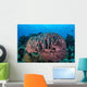 Massive Barrel Sponge Grows Wall Decal