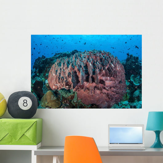 Massive Barrel Sponge Grows Wall Decal