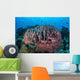 Massive Barrel Sponge Grows Wall Decal