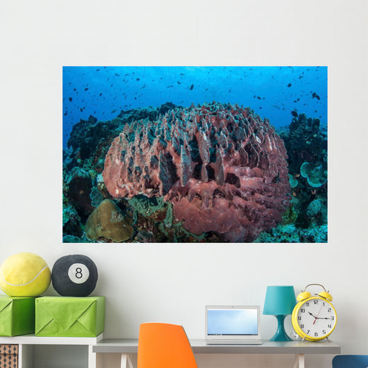 Massive Barrel Sponge Grows Wall Decal