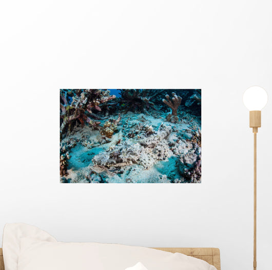 Crocodilefish Lays Seafloor near Wall Decal