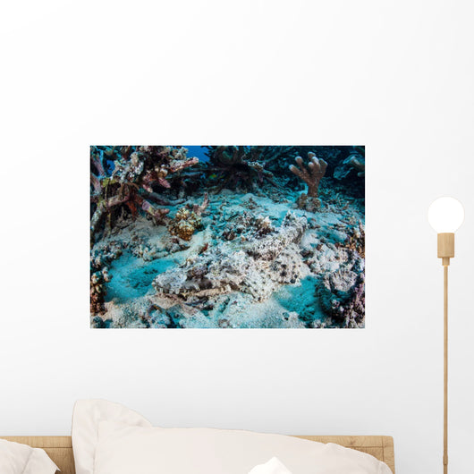 Crocodilefish Lays Seafloor near Wall Decal