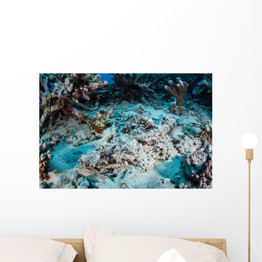 Crocodilefish Lays Seafloor near Wall Decal