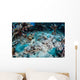 Crocodilefish Lays Seafloor near Wall Decal