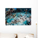 Crocodilefish Lays Seafloor near Wall Decal