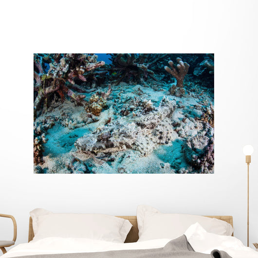 Crocodilefish Lays Seafloor near Wall Decal