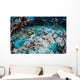 Crocodilefish Lays Seafloor near Wall Decal