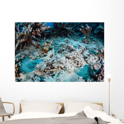 Crocodilefish Lays Seafloor near Wall Decal