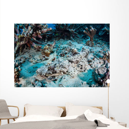 Crocodilefish Lays Seafloor near Wall Decal