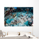 Crocodilefish Lays Seafloor near Wall Decal