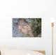 Pair Ceylon Nudibranchs Mating Wall Decal Design 2