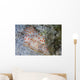 Pair Ceylon Nudibranchs Mating Wall Decal Design 2