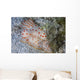 Pair Ceylon Nudibranchs Mating Wall Decal Design 2