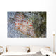 Pair Ceylon Nudibranchs Mating Wall Decal Design 2