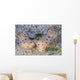 Pair Ceylon Nudibranchs Mating Wall Decal Design 1