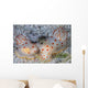 Pair Ceylon Nudibranchs Mating Wall Decal Design 1