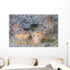 Pair Ceylon Nudibranchs Mating Wall Decal Design 1