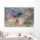 Pair Ceylon Nudibranchs Mating Wall Decal Design 1