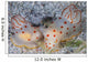 Pair Ceylon Nudibranchs Mating Wall Decal Design 1