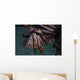 Close-up Lionfish Komodo National Wall Decal