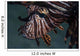 Close-up Lionfish Komodo National Wall Decal