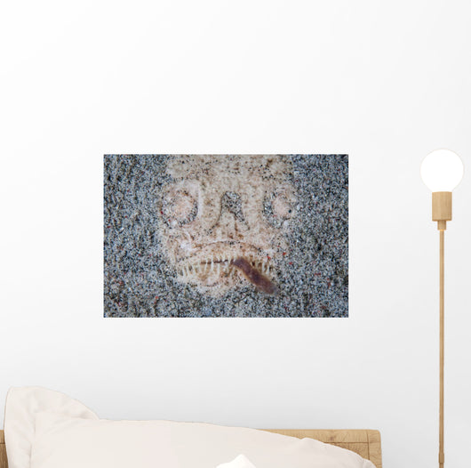 Stargazer Fish Camouflages Itself Wall Decal Design 3