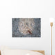 Stargazer Fish Camouflages Itself Wall Decal Design 3