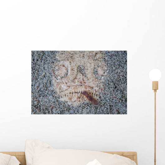 Stargazer Fish Camouflages Itself Wall Decal Design 3