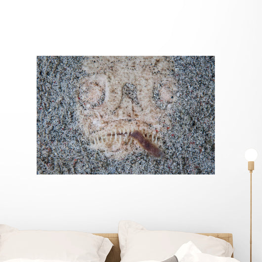 Stargazer Fish Camouflages Itself Wall Decal Design 3