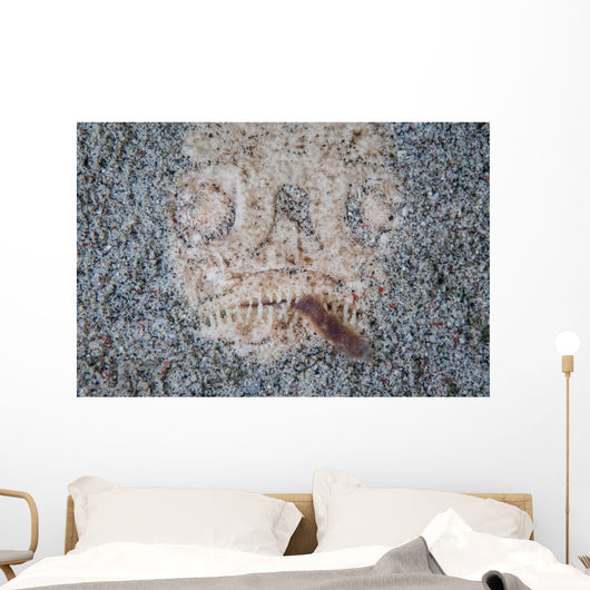 Stargazer Fish Camouflages Itself Wall Decal Design 3