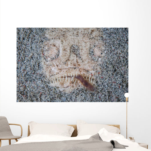 Stargazer Fish Camouflages Itself Wall Decal Design 3