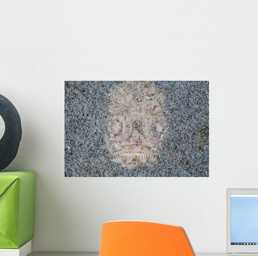 Stargazer Fish Camouflages Itself Wall Decal Design 2