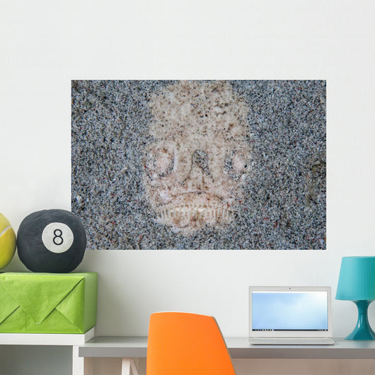 Stargazer Fish Camouflages Itself Wall Decal Design 2