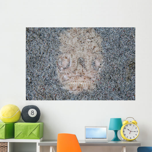 Stargazer Fish Camouflages Itself Wall Decal Design 2
