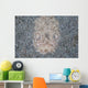 Stargazer Fish Camouflages Itself Wall Decal Design 2