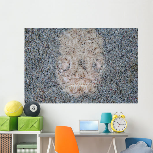 Stargazer Fish Camouflages Itself Wall Decal Design 2