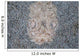 Stargazer Fish Camouflages Itself Wall Decal Design 2