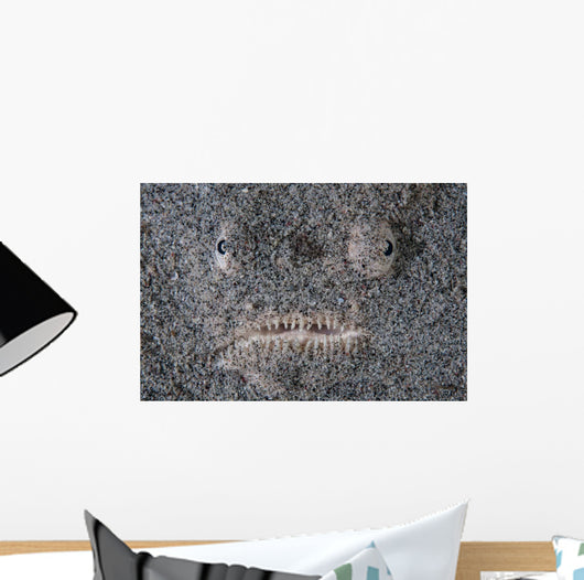 Stargazer Fish Camouflages Itself Wall Decal Design 1