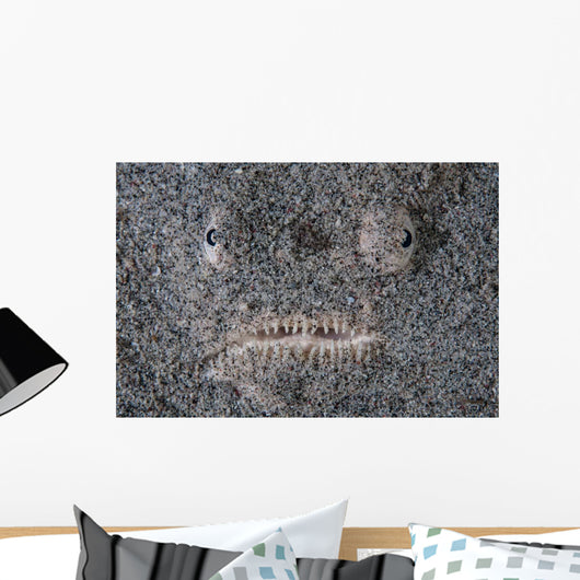 Stargazer Fish Camouflages Itself Wall Decal Design 1