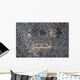 Stargazer Fish Camouflages Itself Wall Decal Design 1