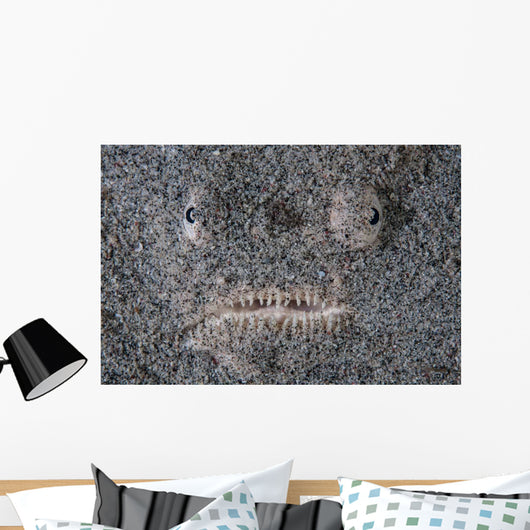 Stargazer Fish Camouflages Itself Wall Decal Design 1