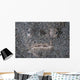Stargazer Fish Camouflages Itself Wall Decal Design 1