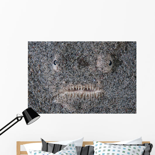 Stargazer Fish Camouflages Itself Wall Decal Design 1