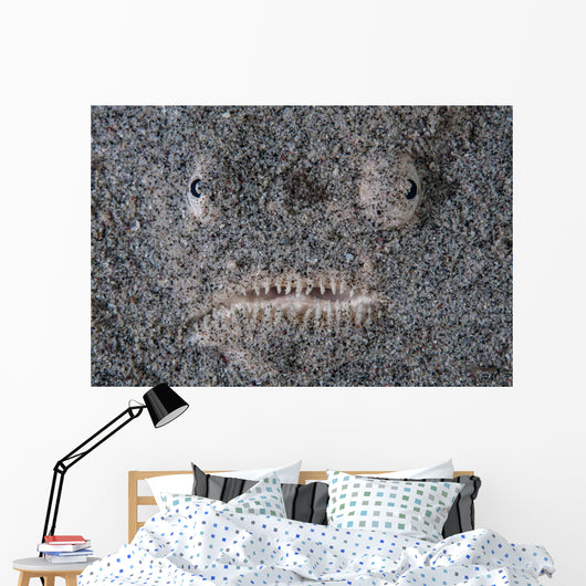 Stargazer Fish Camouflages Itself Wall Decal Design 1