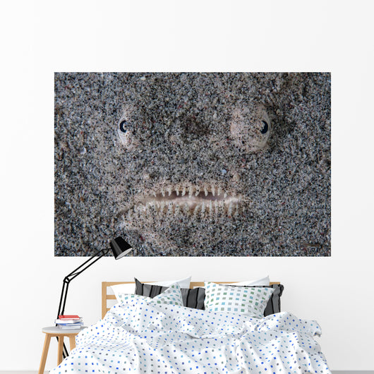Stargazer Fish Camouflages Itself Wall Decal Design 1