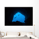 Scuba Divers Explore Cave Wall Decal Design 3