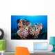 Soft Corals and Other Wall Decal Design 7