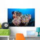Soft Corals and Other Wall Decal Design 7