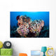 Soft Corals and Other Wall Decal Design 7
