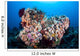 Soft Corals and Other Wall Decal Design 7
